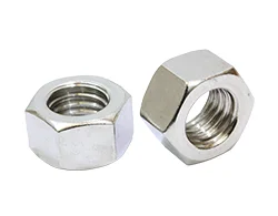 Stainless Steel Nuts